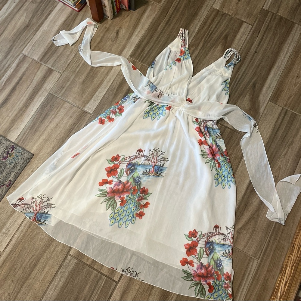 B Dakota XXL Sleeveless V Neck Lined Dress Semi Sheer Peacocks Bridge Floral EUC